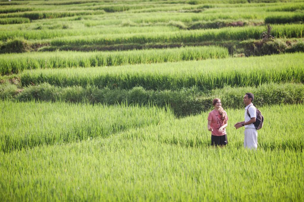 Manyi Village 3* Ubud