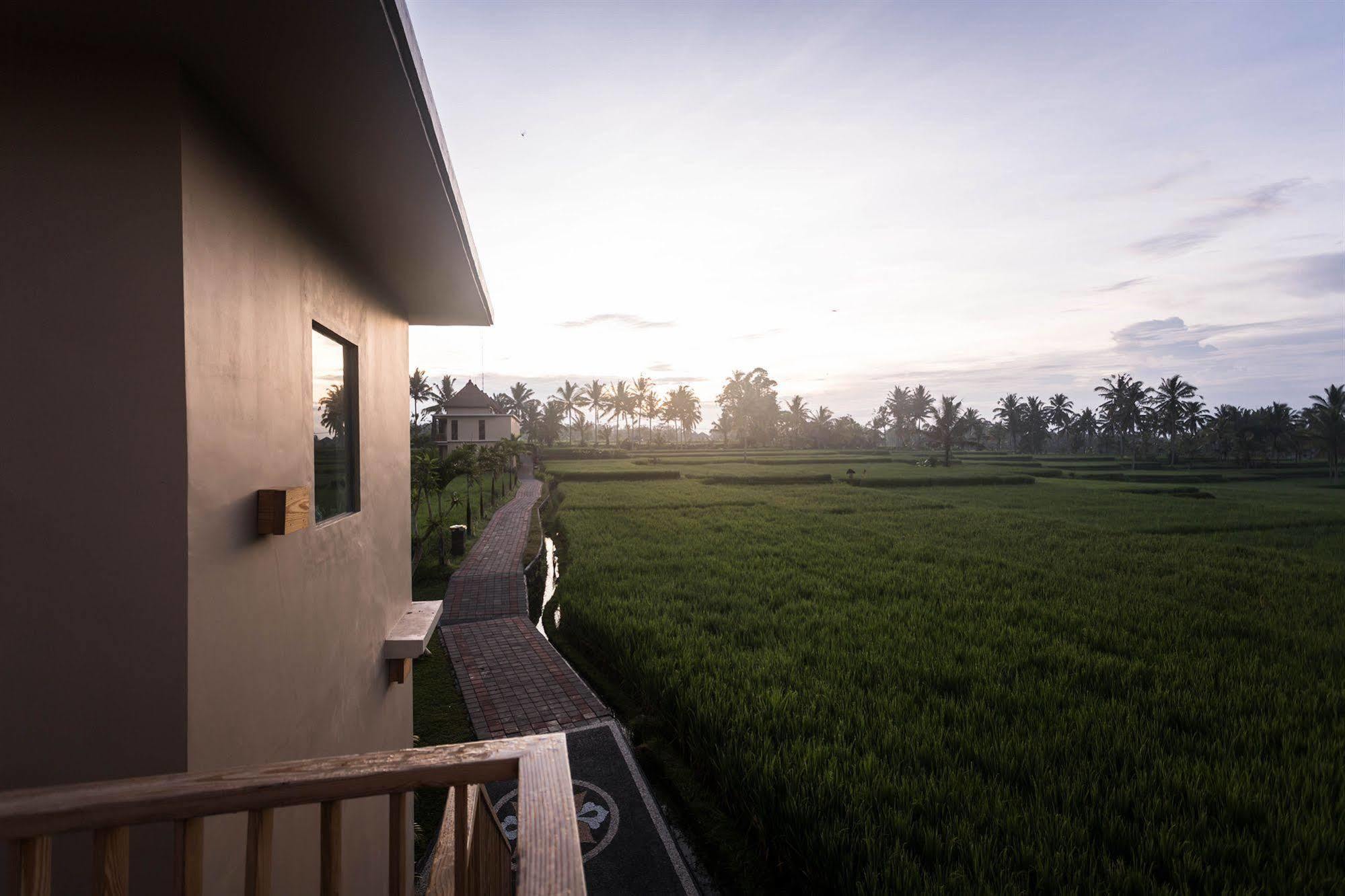 Manyi Village Ubud