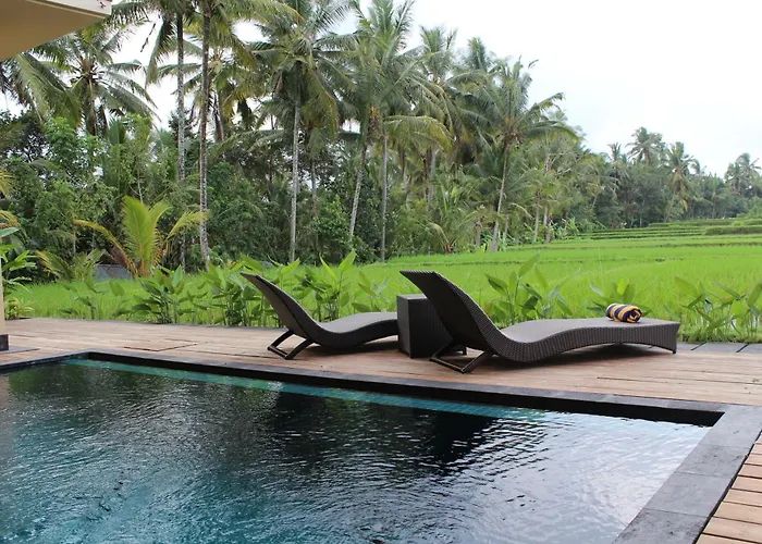Manyi Village Ubud