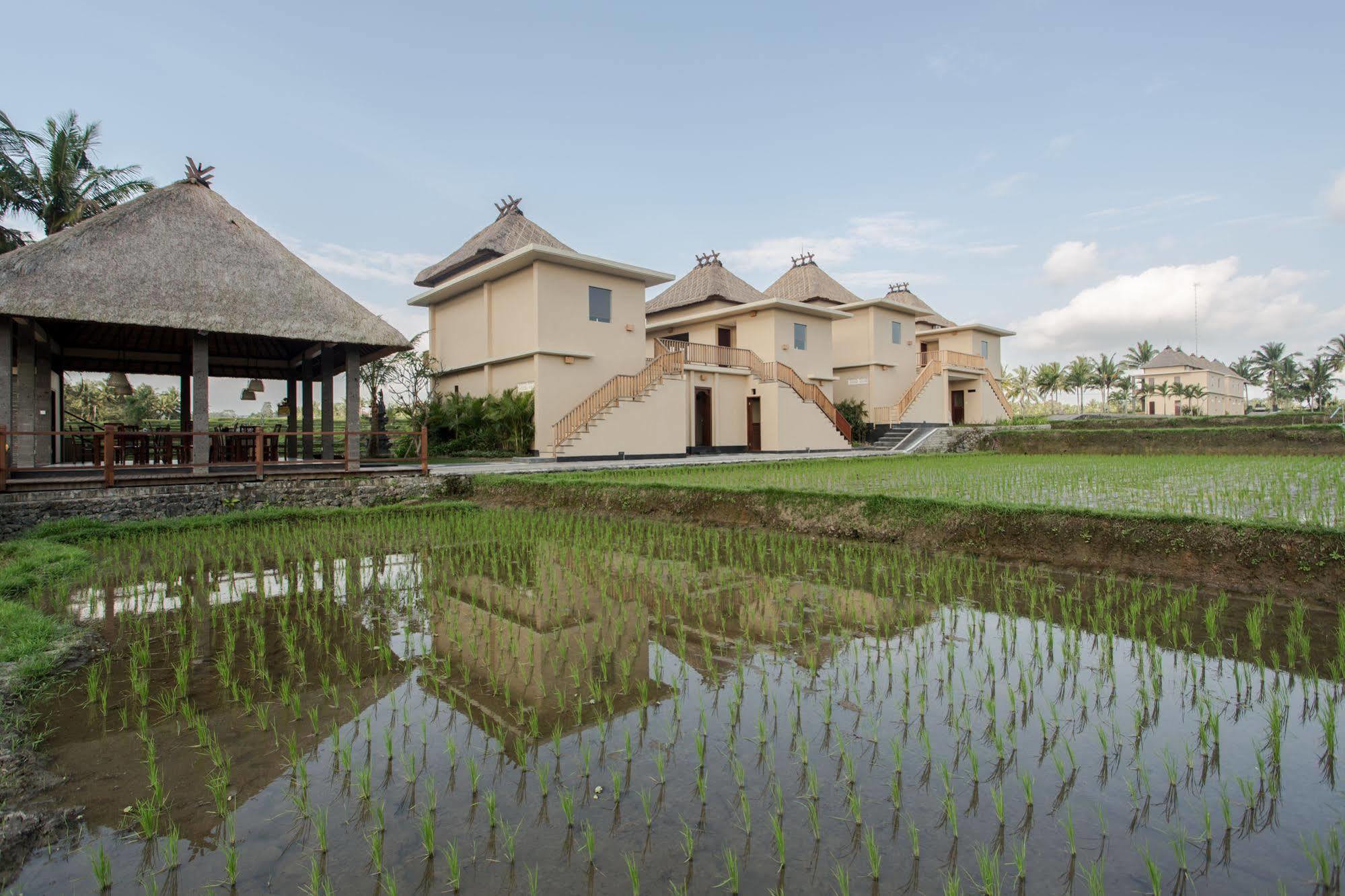 Manyi Village Hotel Ubud (Bali)